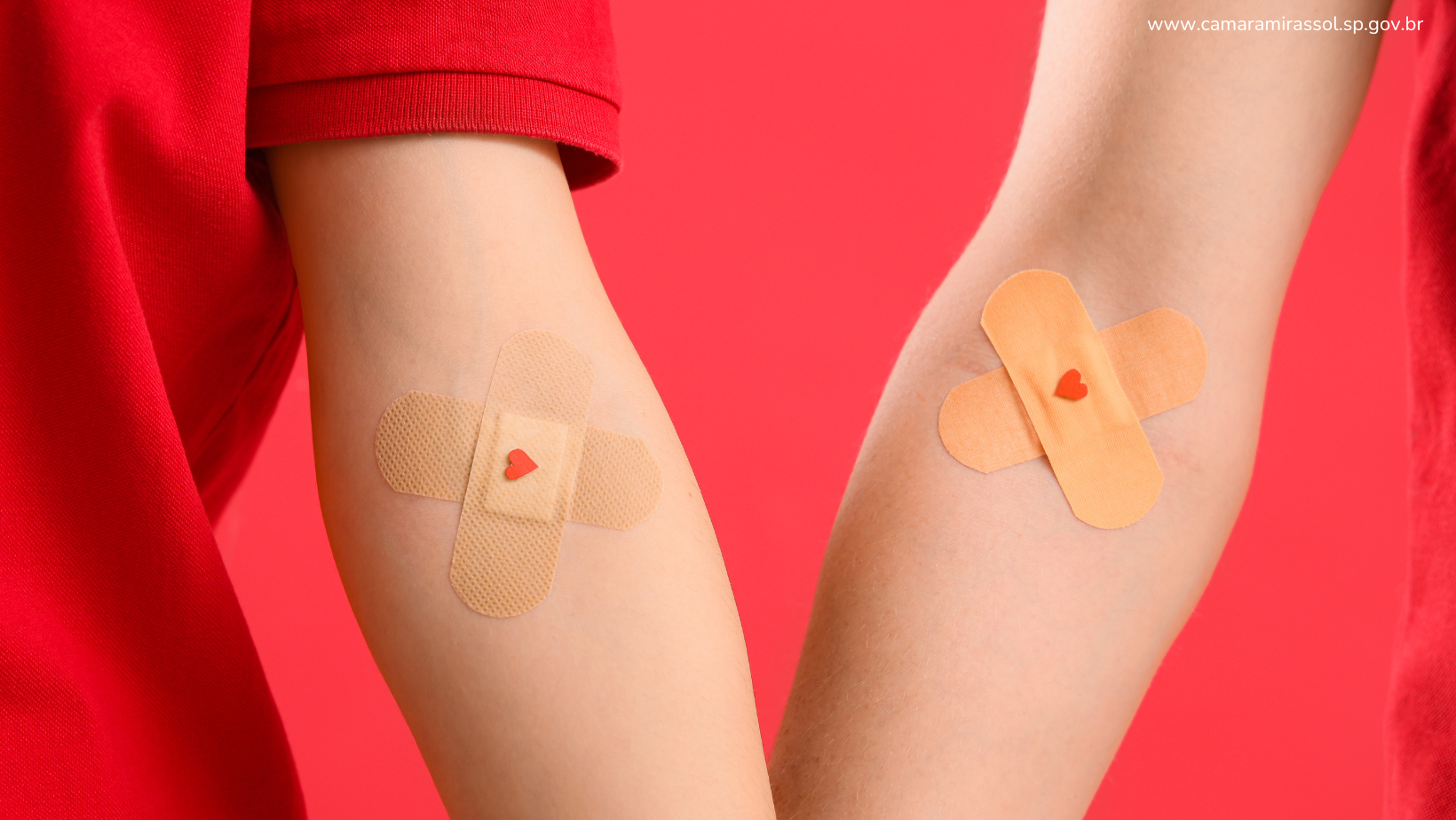 PL aprovado: Educação e solidariedade caminham juntas no programa Doadores do Futuro