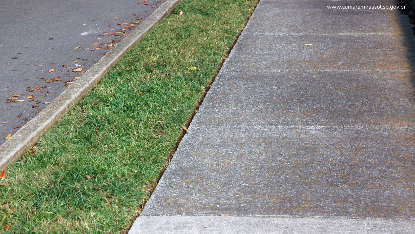 Divulgação / Banco de imagens