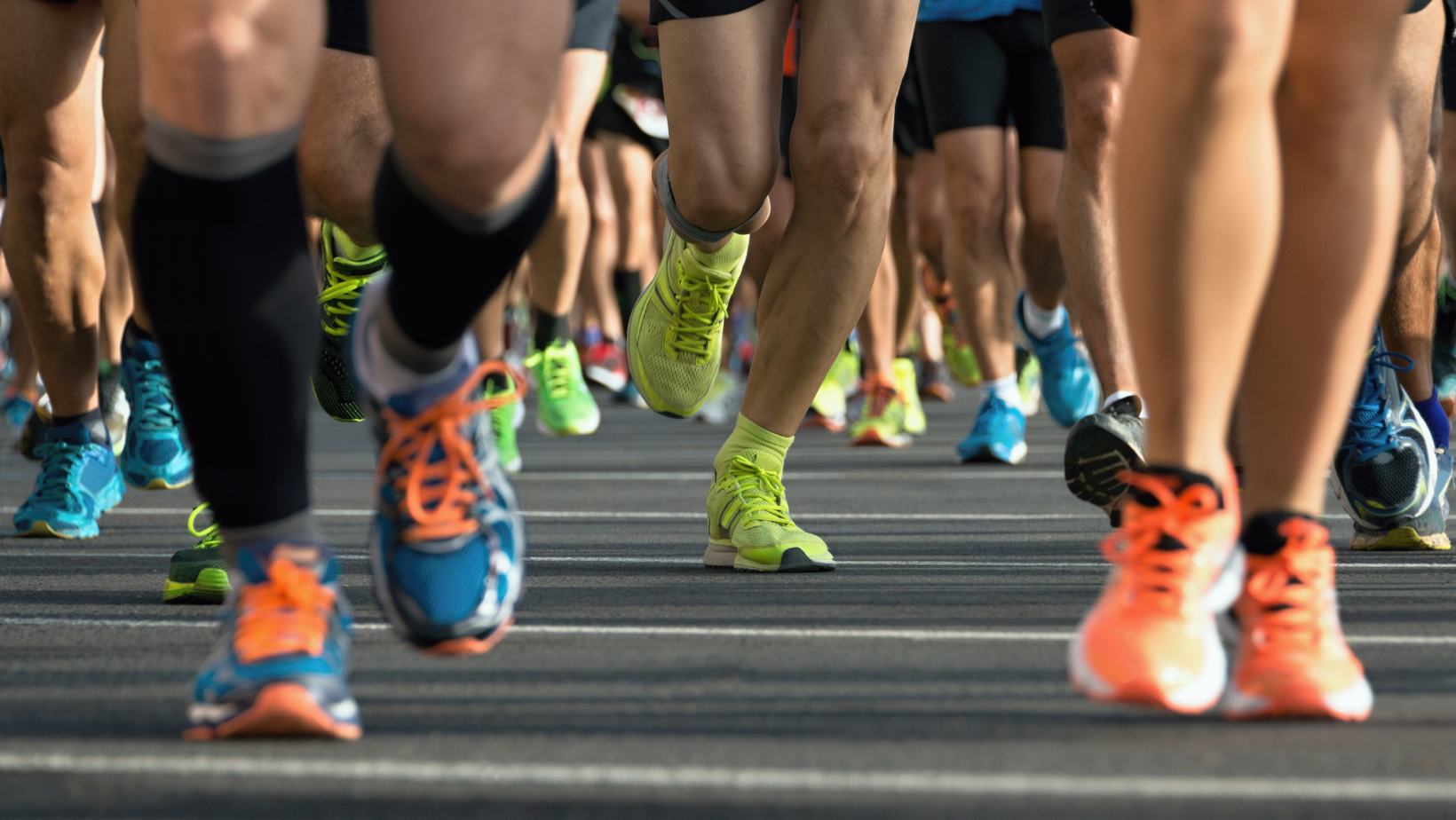 Divulgação / Canva