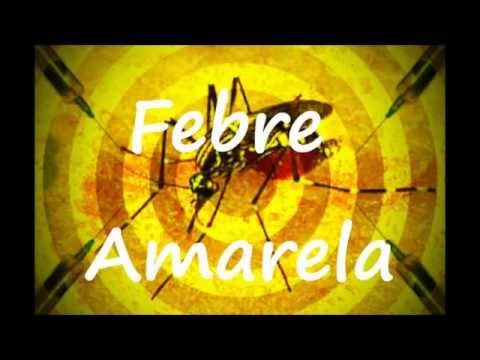 2017126_febre_amarela_imagem