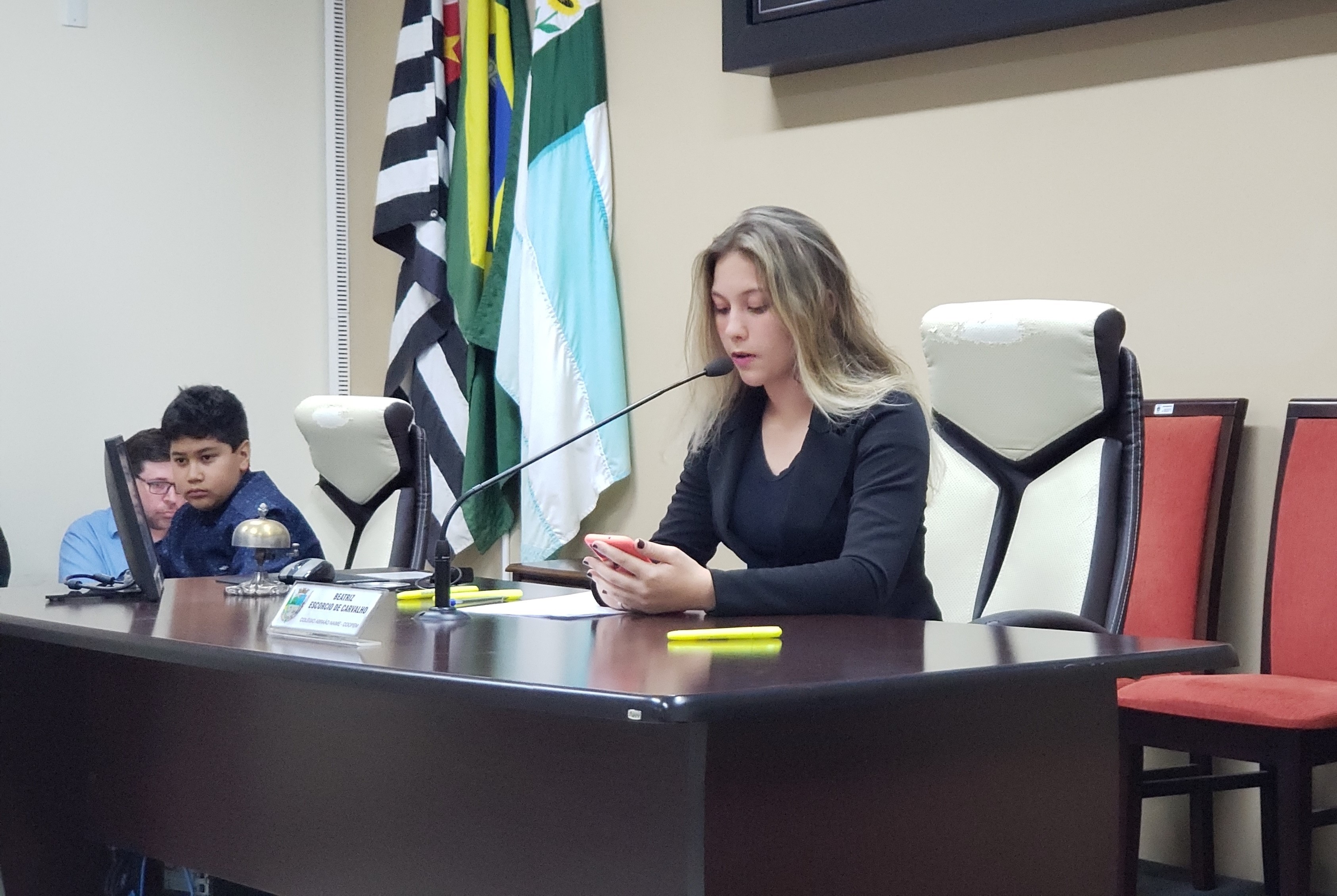 7ª Sessão Ordinária Mirim encerrou 1ª Legislatura